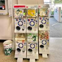 熱海バナナワニ園　チェックしてほしいグッズや限定品
