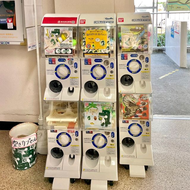 熱海バナナワニ園　チェックしてほしいグッズや限定品