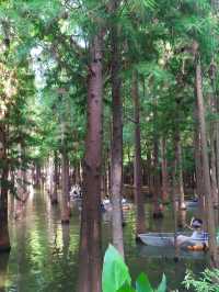 到昆明‘撈漁河濕地公園’划船去-位置實戰攻略