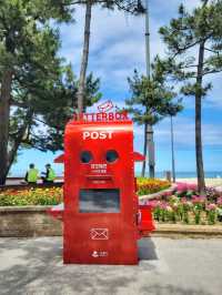 날씨 좋은날엔 강릉 경포해변🏖하세요!