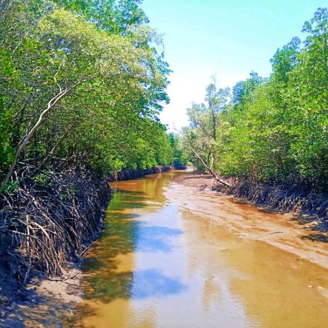 วนอุทยานปราณบุรี แหล่งเรียนรู้ป่าชายเลน