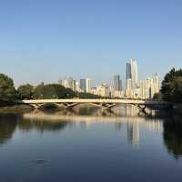 可影廣州塔倒影的公園