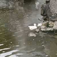上海旅遊必到景點--豫園