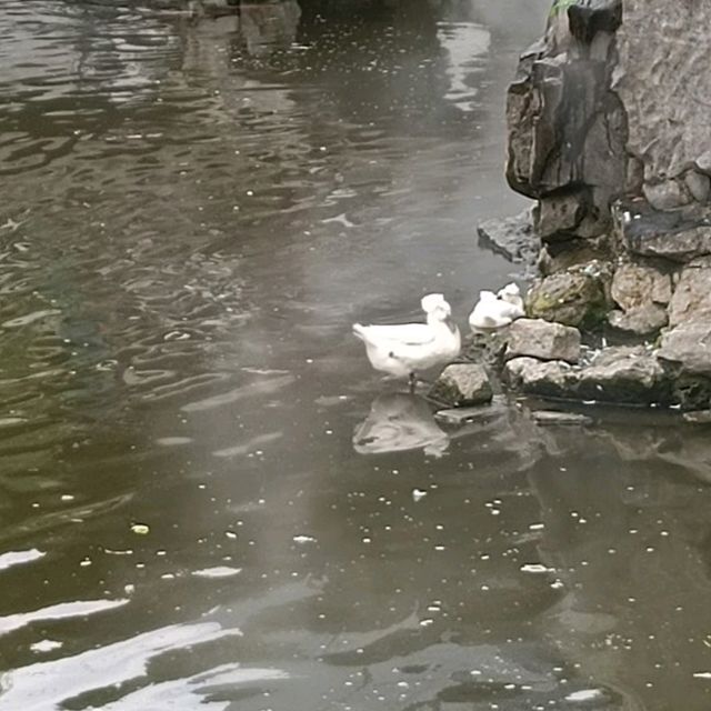 上海旅遊必到景點--豫園