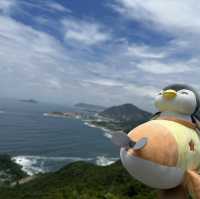 飛機鵝和橙鵝烈日行山🥵