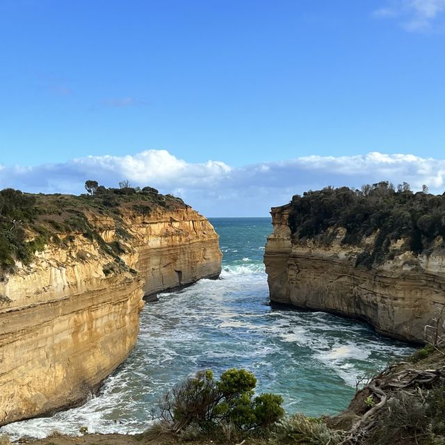 Great Ocean Road Tour