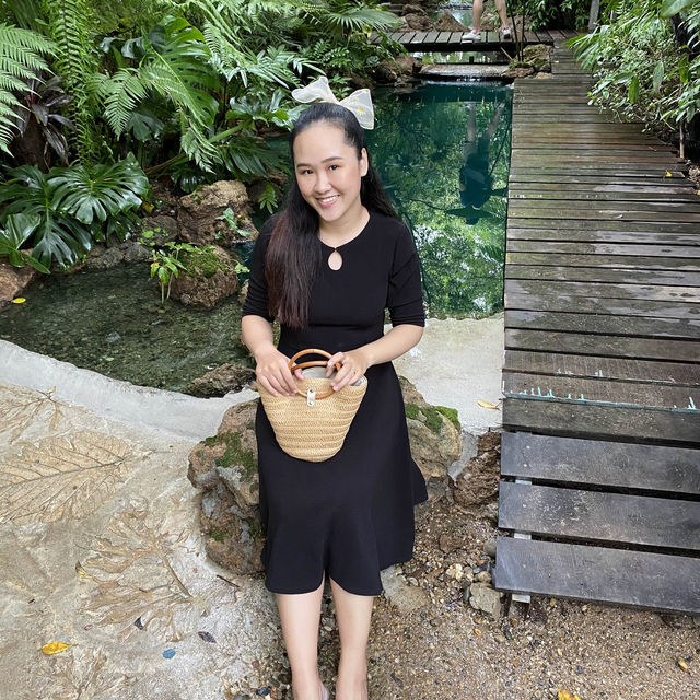 The Forest Friends Chiang mai คาเฟ่ป่าน้ำสีเขียว