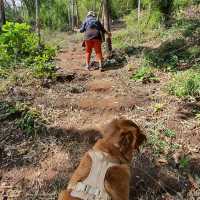ภูซับเหล็ก ขึ้นเขาแค่ 400 เมตรแต่วิวหลักล้าน