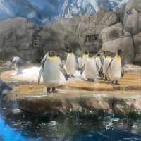 香港海洋公園