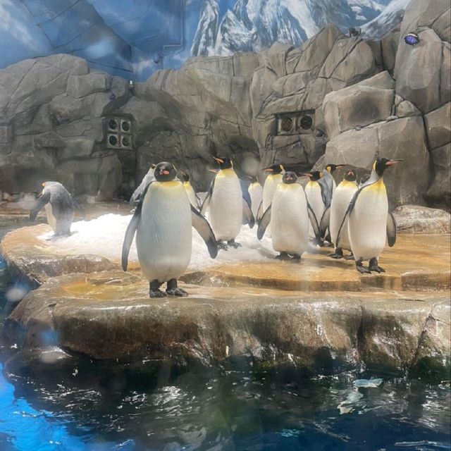 香港海洋公園