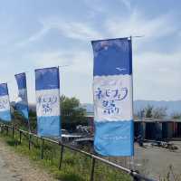 【大阪観光】ネモフィラ祭り🦋🌧