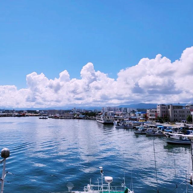 💙 푸른 하늘과 푸른 바다의 강릉 주문진항을 바라보며