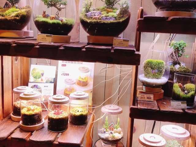 台北｜🎪🎵🎶 Wooderful life 華山店