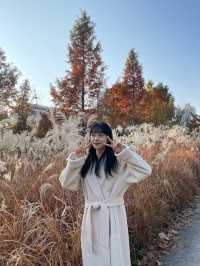 서울 단풍명소, 연남동 연트럴파크