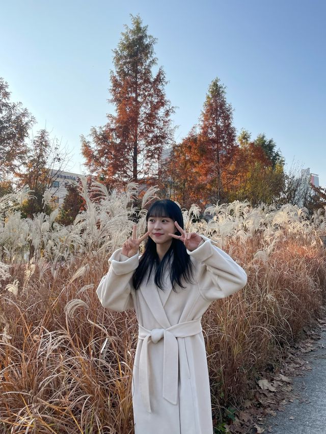 서울 단풍명소, 연남동 연트럴파크