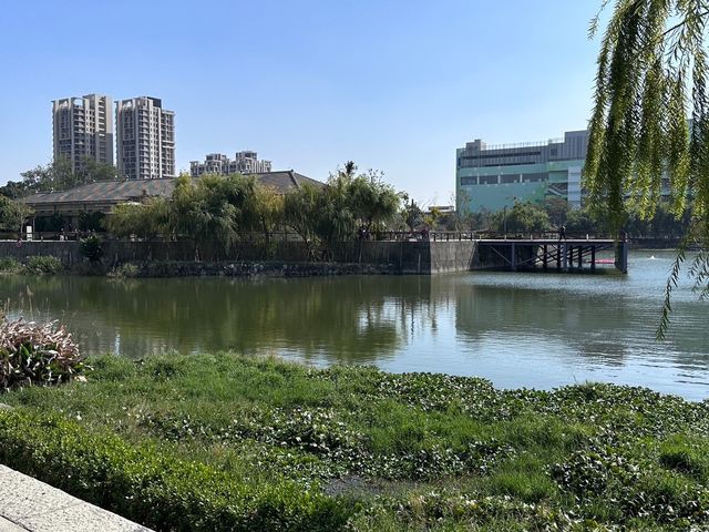 🌿 台中星泉湖：綠意盎然，柳樹倒影如畫！🏞️🌟