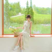 Tellus คาเฟ่สุดคิ้ว วิวป่าสน ที่เขาใหญ่