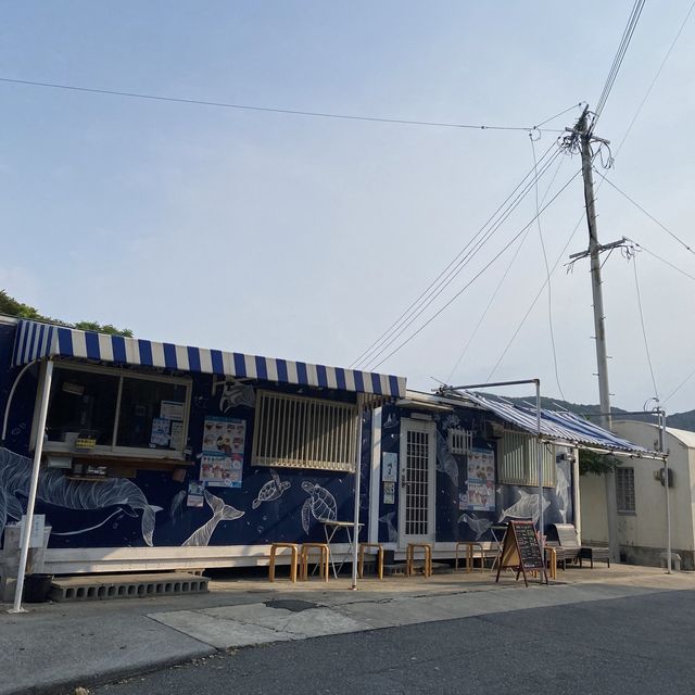 福岡糸島市芥屋漁港，鮮甜海產盡在其中