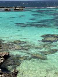 西澳的Rottnest Island：水清沙幼沙灘與微笑袋鼠的天堂！🏝️🌊🦘