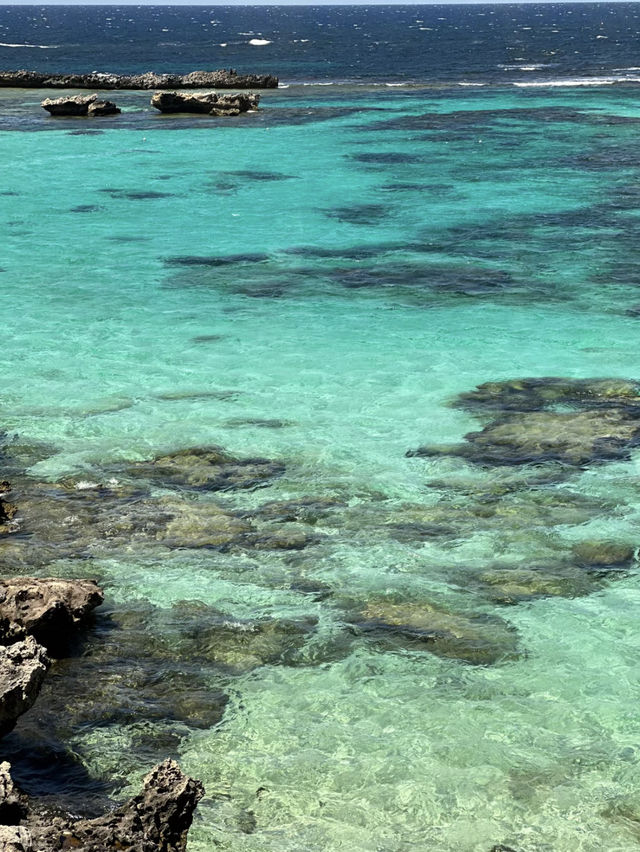 西澳的Rottnest Island：水清沙幼沙灘與微笑袋鼠的天堂！🏝️🌊🦘