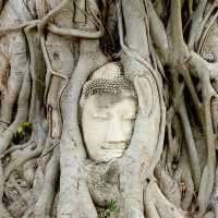 #วัดมหาธาตุ #อุทยานประวัติศาสตร์ #พระนครศรีอยุธยา