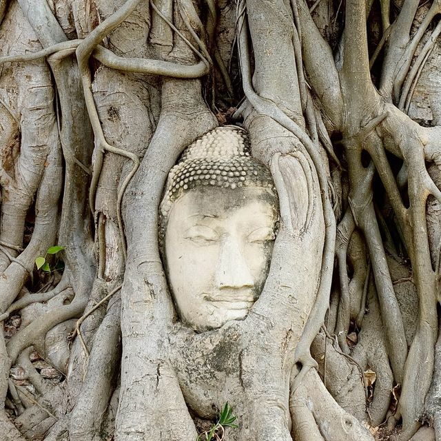 #วัดมหาธาตุ #อุทยานประวัติศาสตร์ #พระนครศรีอยุธยา