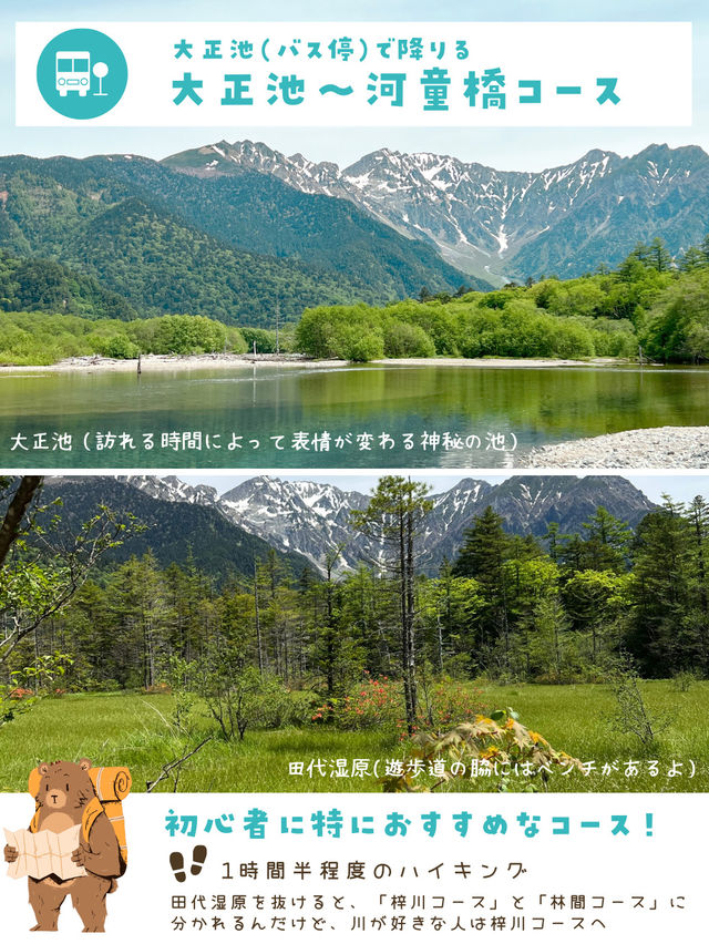 【長野・上高地】常連が教える、何倍も楽しくなる散策コース❤️絶景カフェもあるよ☺️🍰