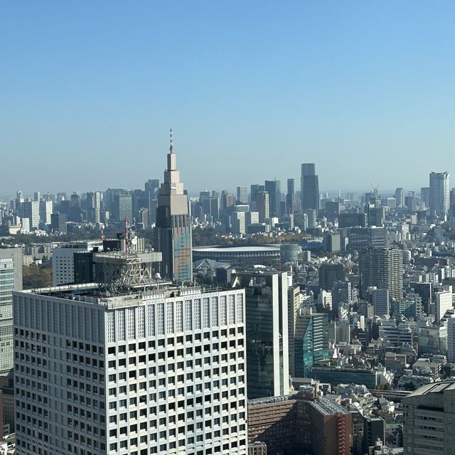 ✨압도적인 규모의 도쿄도청 , 편하게 도쿄를 감상할 수 있는 도쿄 도청 전망대 ✨