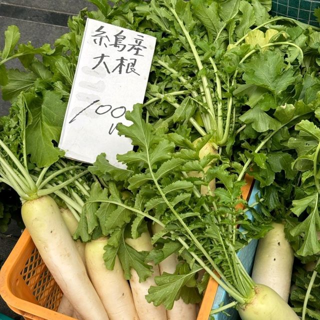 Hidden Gems - Sun Road, Fukuoka