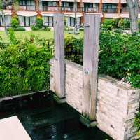 The Zen Pool (adults only)