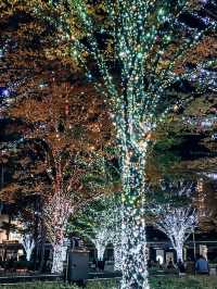 Winter illumination in Roppongi 