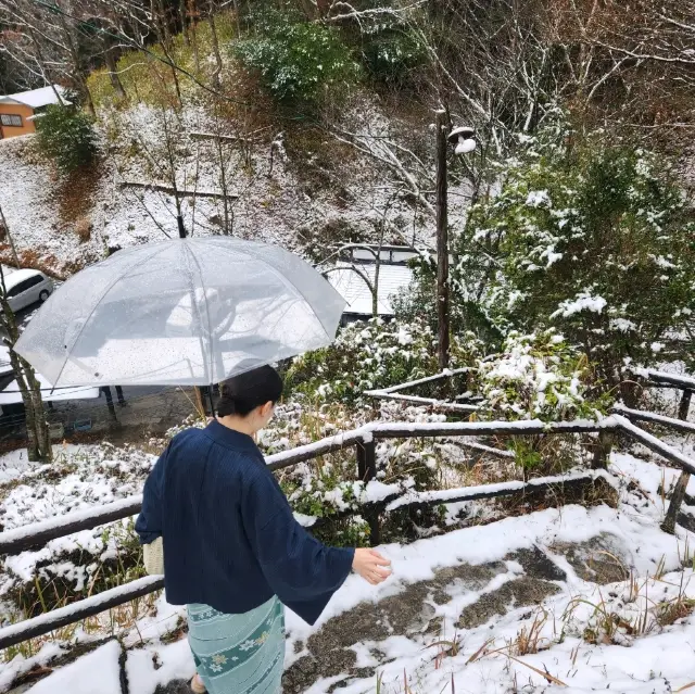 일본 겨울 눈 여행