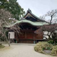 2023年 福岡観光！「東長寺」