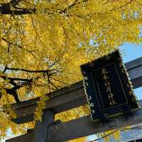 兩個東京巿區隱敞超美銀杏神社