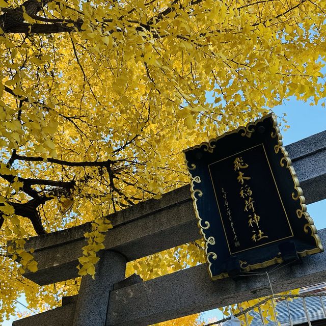 兩個東京巿區隱敞超美銀杏神社