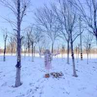 เที่ยวจีนเมืองเล็กๆชานเมืองหิมะฟูๆถ่ายรูปสวยมาก