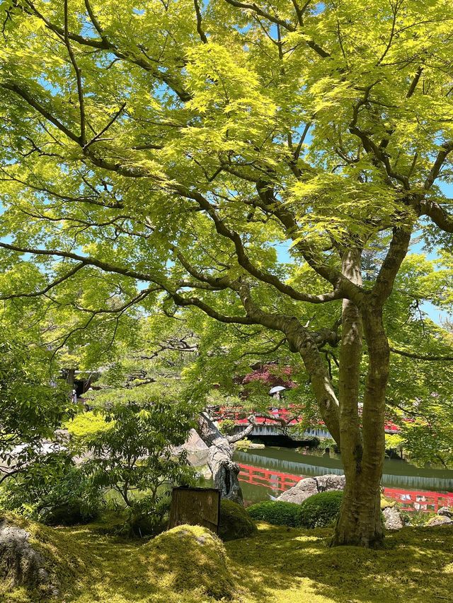 【島根　松江市】　由志園