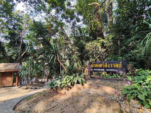 ชมน้ำตกหินปูนสุดงดงาม ในอำเภอเชียงดาว ⛰️