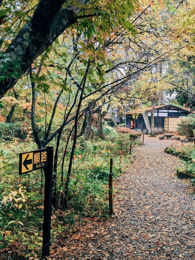 🇯🇵日本東北👣 秋田縣角館武家屋敷🍁