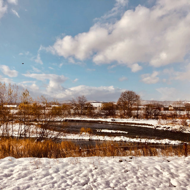 Winter's Charm: Asahikawa Splendor Rediscover