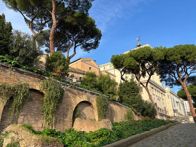 입장하지 않아도 경관을 볼 수 있는 포로 로마노🇮🇹❤️