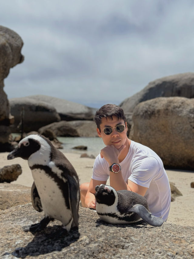 Boulders Beach : Simon's Town หาดแพนกวิ้น