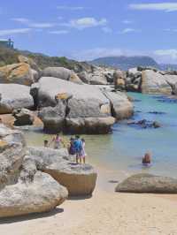 Boulders Beach : Simon's Town หาดแพนกวิ้น