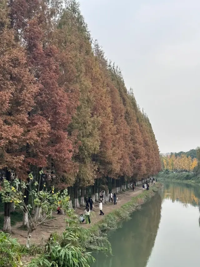 湖光山色，成都升仙湖的恬靜風景