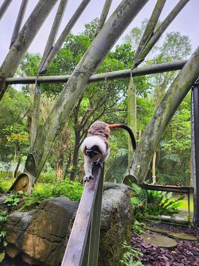 台灣親子遊景點
