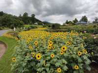 IBARAKI FLOWER PARK