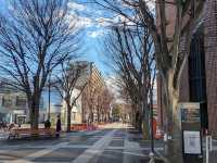 Tsukuba Center Square 