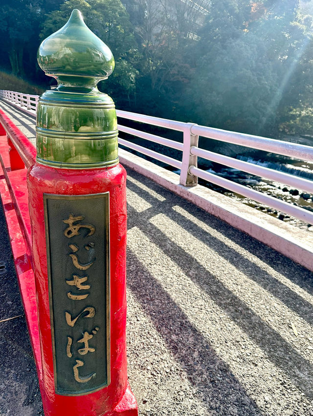 📍あじさい橋/箱根・神奈川県