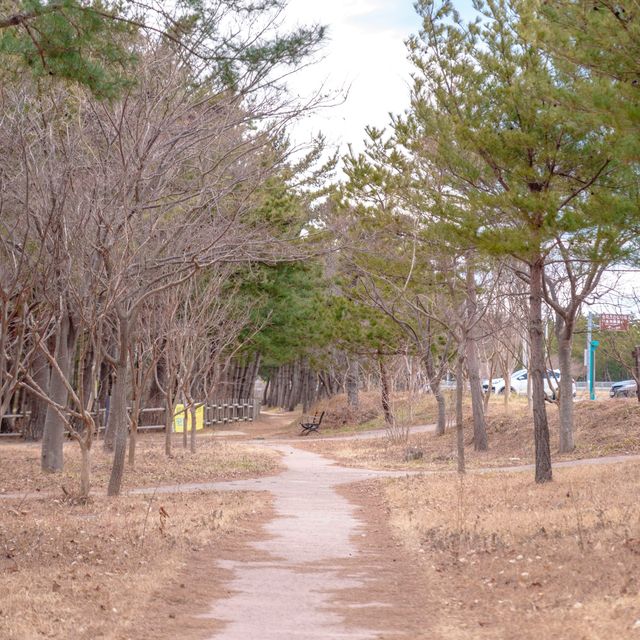 고성 여러 전망대 중 송지호 전망의 진수