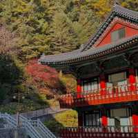 古色古香～譚公廟 